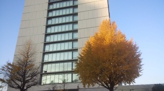 171129_0726~02.jpg