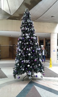 20181120_104349.jpg