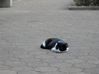 DSCN0219.JPG