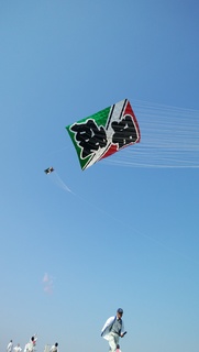 DSC_0242.jpg