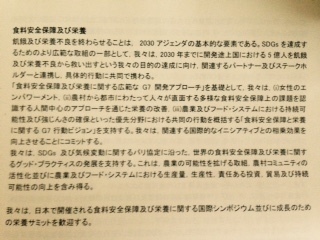 首脳宣言 栄養記述.jpg