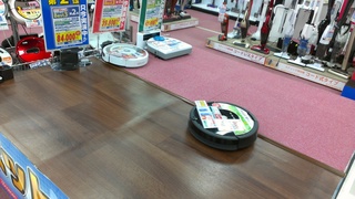 IMAG0728.jpg