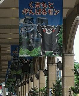 IMAG0949-2-1.jpg