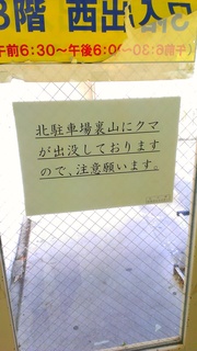 IMAG1066.jpg