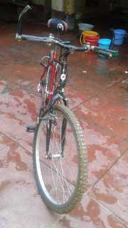 IMG-20181228-WA0003.jpg