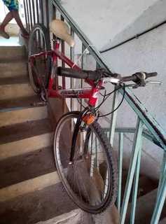 IMG-20190102-WA0011.jpg