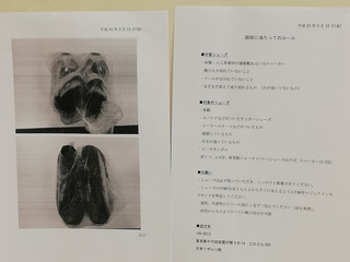 IMG_20190315_151729.jpg