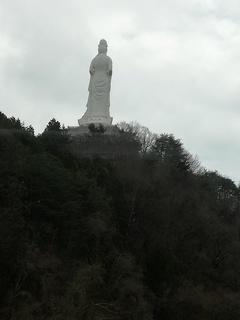 IMG_20190401_092208.jpg