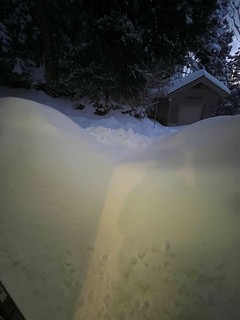 IMG_3270.jpeg