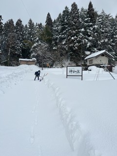 IMG_3285.jpeg