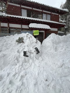 IMG_3320.jpeg