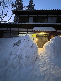 IMG_3331.jpeg