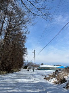 IMG_3485.jpeg