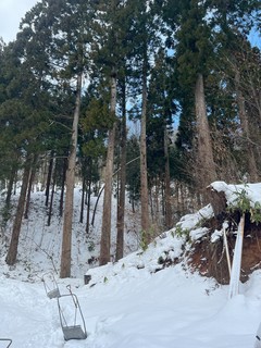 IMG_3570.jpeg