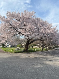 IMG_5004.jpg