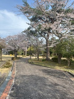 IMG_5006.jpg