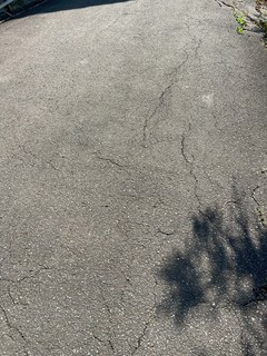 IMG_5213.jpg