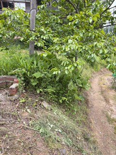 IMG_6414.jpg
