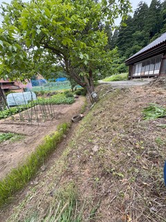 IMG_6415.jpg