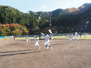 PB039735.JPG
