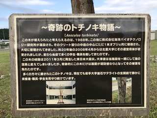 image1.JPG