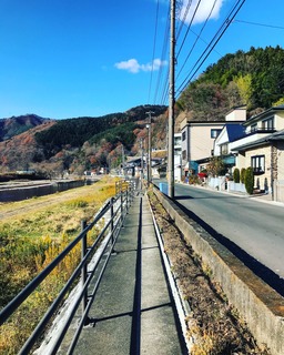 image1 (12).jpeg
