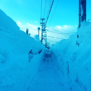 image2 (5).jpeg